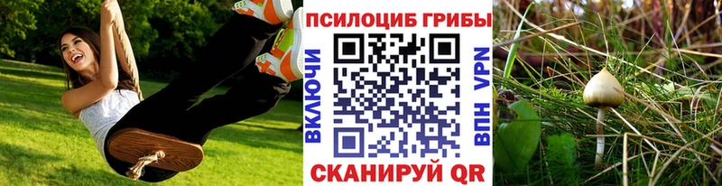 Галлюциногенные грибы прущие грибы  Купить  Электроугли 